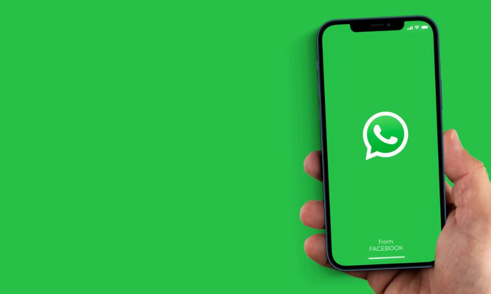 pi assistente virtual whatsapp